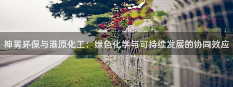 亿万先生现在的网址谁知道：神雾环保与港原化工：绿色化学与可持续发展的协同效应