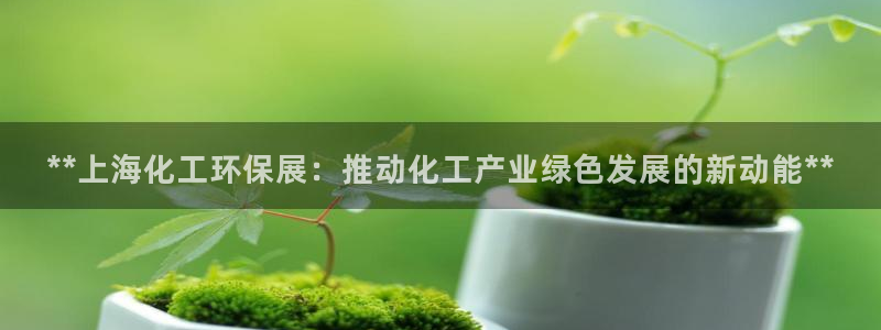 亿万先生是男是女：**上海化工环保展：推动化工产业绿色发展的新动能**