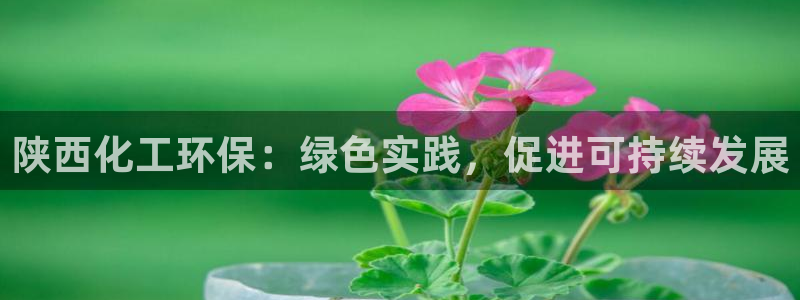 亿万百度百科官网：陕西化工环保：绿色实践，促进可持续发展