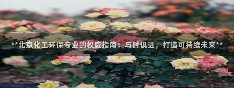 亿万官网：**北京化工环保专业的权威指南：与时俱进，打造可持续未来**