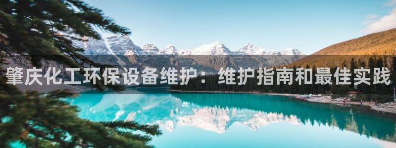 亿万先生客服联系方式是什么：肇庆化工环保设备维护：维护指南和最佳实践