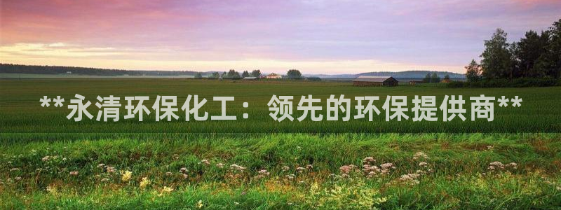 亿万城市手游：**永清环保化工：领先的环保提供商**