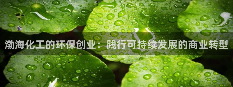 亿万先生手游下载：渤海化工的环保创业：践行可持续发展的商业转型