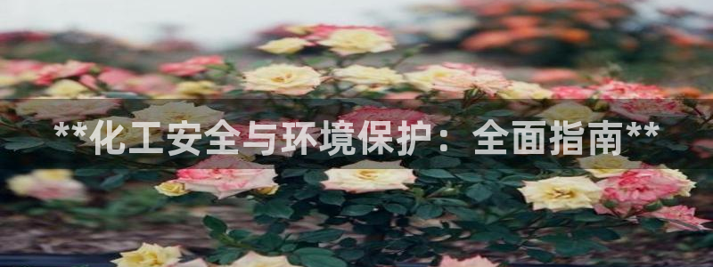 亿万手游平台官网：**化工安全与环境保护：全面指南**