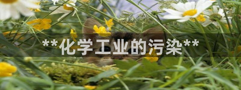 亿万先生游戏：**化学工业的污染**