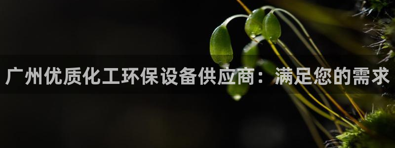 亿万先生手机版入口在哪：广州优质化工环保设备供应商：满足您的需求