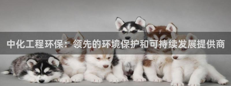 亿万先生换网址了吗：中化工程环保：领先的环境保护和可持续发展提供商