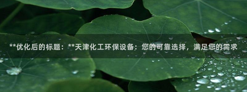 亿万笞人：**优化后的标题：**天津化工环保设备：您的可靠选择，满足您的需求