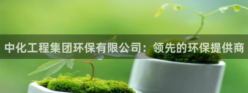 亿万贴吧：中化工程集团环保有限公司：领先的环保提供商