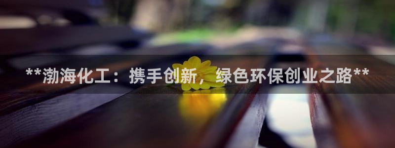 亿万先生充电桩怎么样：**渤海化工：携手创新，绿色环保创业之路**