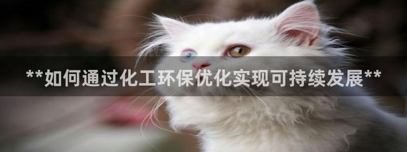 亿万同人字幕组微博的微博：**如何通过化工环保优化实现可持续发展**