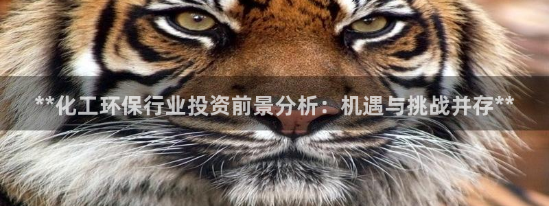亿万先生合并网址是什么：**化工环保行业投资前景分析：机遇与挑战并存**