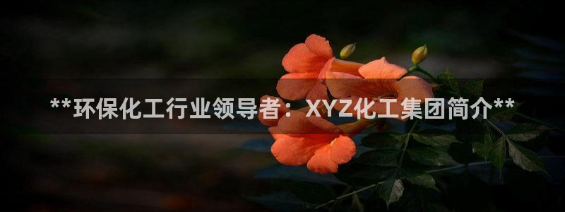亿万官网：**环保化工行业领导者：XYZ化工集团简介**