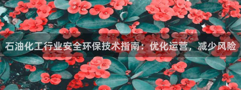 亿万客户端：石油化工行业安全环保技术指南：优化运营，减少风险