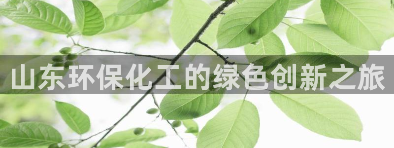 亿万红包版下载正版：山东环保化工的绿色创新之旅
