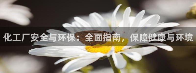 亿万先生网页版：化工厂安全与环保：全面指南，保障健康与环境