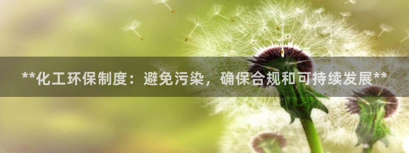 亿万先生情侣车有什么用：**化工环保制度：避免污染，确保合规和可持续发展**