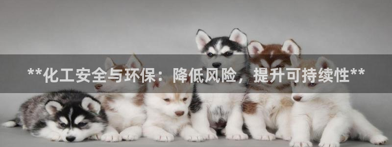 亿万先生情侣车有什么用：**化工安全与环保：降低风险，提升可持续性**