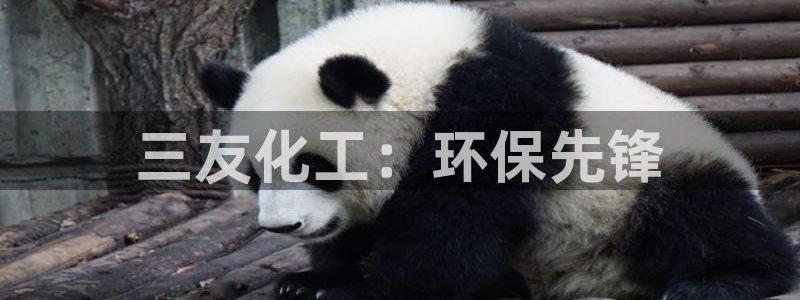 亿万先生mr网址：三友化工：环保先锋