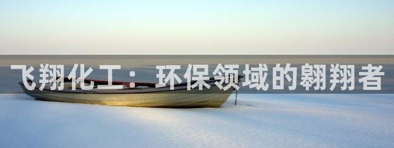 亿万钱包app下载：飞翔化工：环保领域的翱翔者