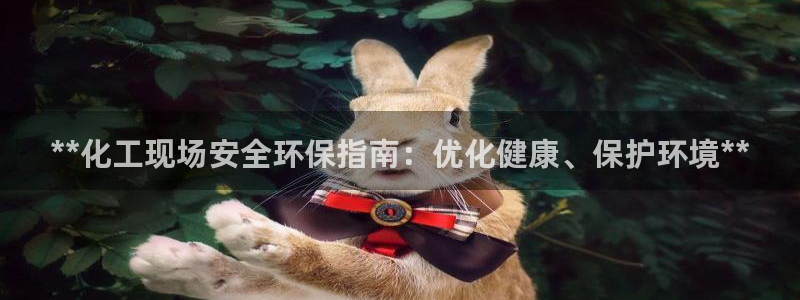 mr亿万先生：**化工现场安全环保指南：优化健康、保护环境**
