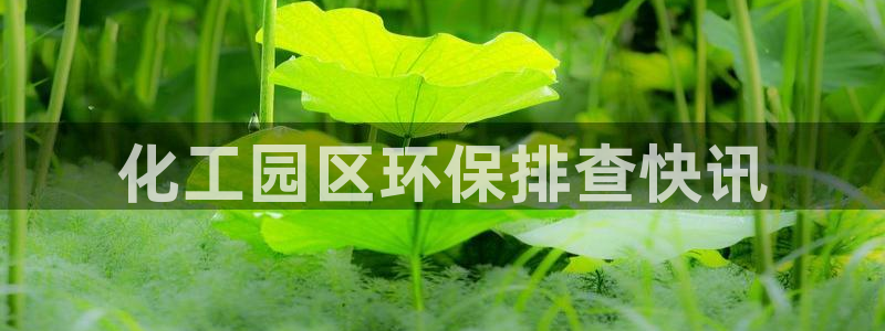 亿万剧情介绍：化工园区环保排查快讯