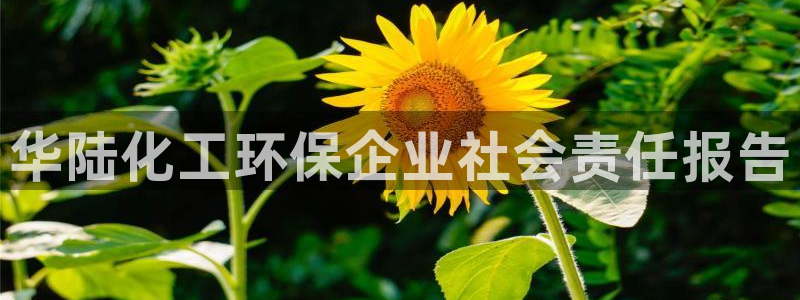 电视剧亿万：华陆化工环保企业社会责任报告