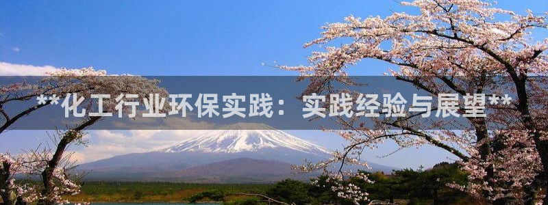 亿万先生客服：**化工行业环保实践：实践经验与展望**