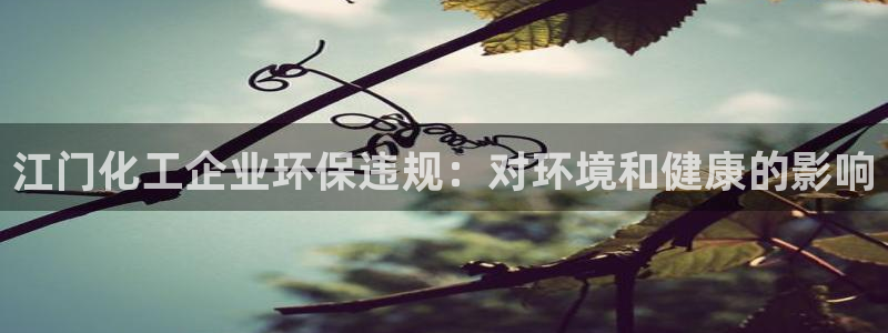 mr003亿万先生：江门化工企业环保违规：对环境和健康的影响