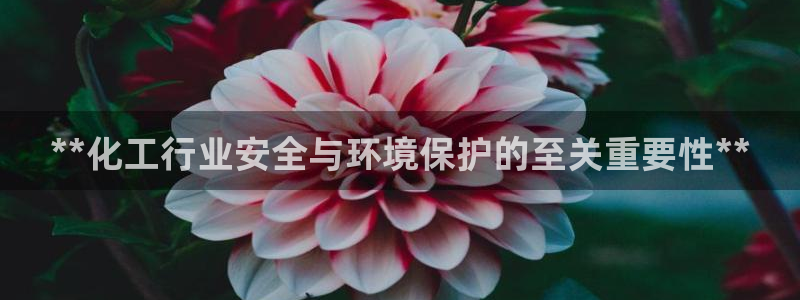 亿万先生手机客户端：**化工行业安全与环境保护的至关重要性**
