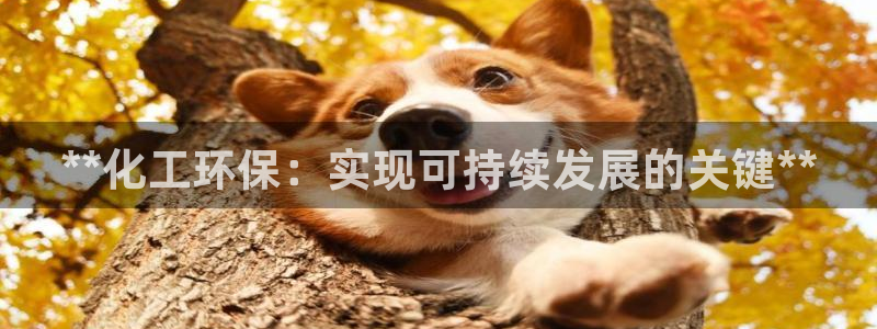 亿万先生客户端：**化工环保：实现可持续发展的关键**