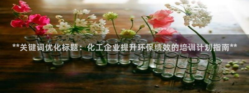 电影亿万：**关键词优化标题：化工企业提升环保绩效的培训计划指南**