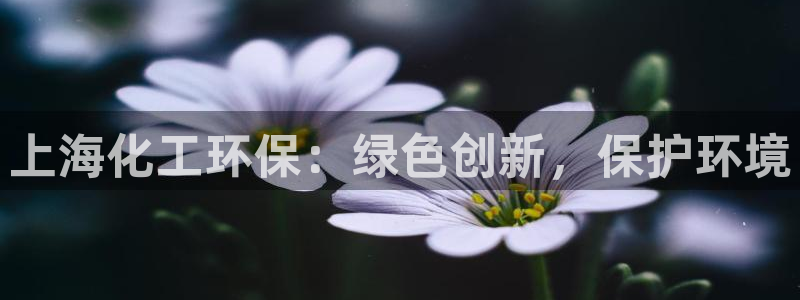 亿万手游平台官网下载：上海化工环保：绿色创新，保护环境