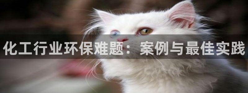 亿万先生手机版入口在哪下载：化工行业环保难题：案例与最佳实践