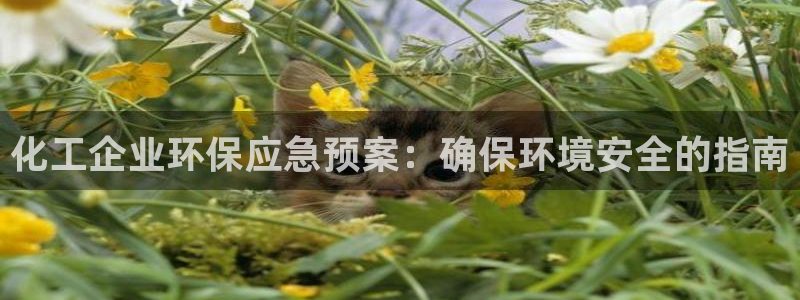 亿万剧情介绍：化工企业环保应急预案：确保环境安全的指南