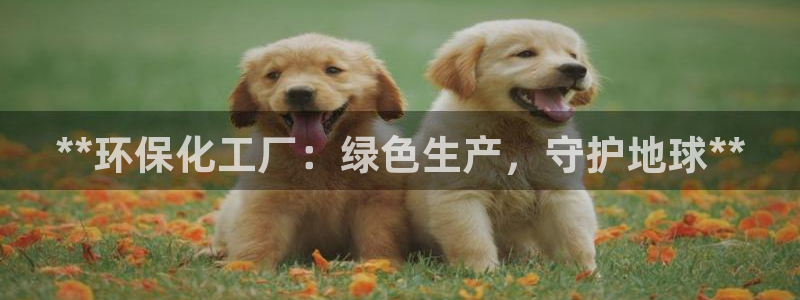 亿万先生情侣车有什么用：**环保化工厂：绿色生产，守护地球**