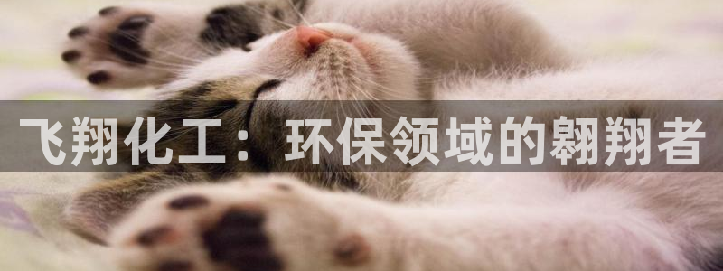 亿万同人字幕组微博的微博：飞翔化工：环保领域的翱翔者