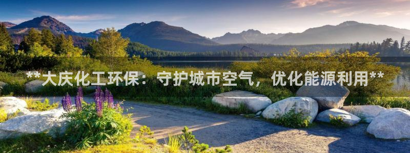 亿万先生手机版入口在哪下载：**大庆化工环保：守护城市空气，优化能源利用**