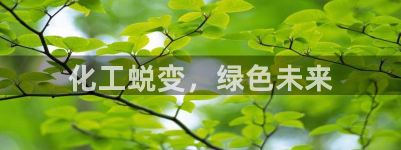 亿万先生m007：化工蜕变，绿色未来