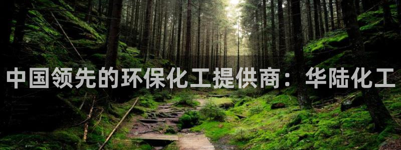 亿万国际平台是正规的吗安全吗：中国领先的环保化工提供商：华陆化工