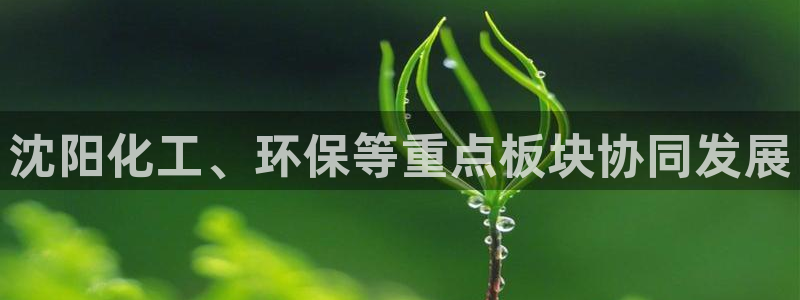 亿万先生现在的网址谁知道是真的：沈阳化工、环保等重点板块协同发展