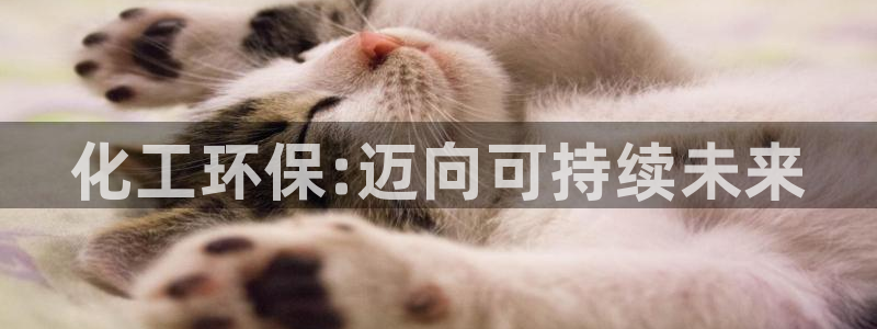 亿万先生 菲律宾：化工环保:迈向可持续未来