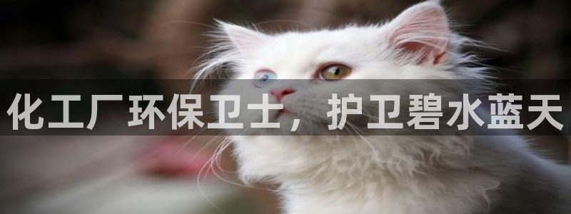 官方网站下载亿万人生