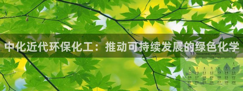 亿万先生充电桩怎么样：中化近代环保化工：推动可持续发展的绿色化学