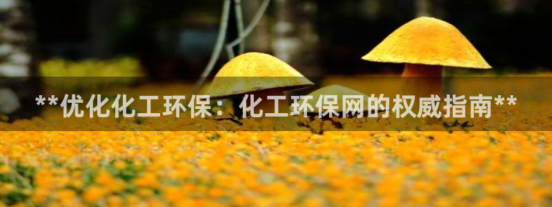 亿万万作者：**优化化工环保：化工环保网的权威指南**