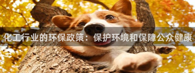 亿万下载：化工行业的环保政策：保护环境和保障公众健康