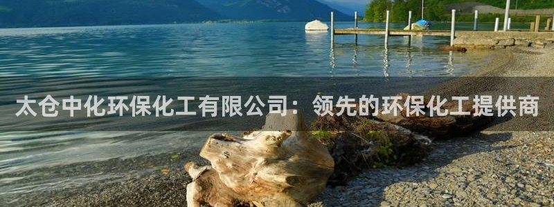 亿万先生手机客户端：太仓中化环保化工有限公司：领先的环保化工提供商
