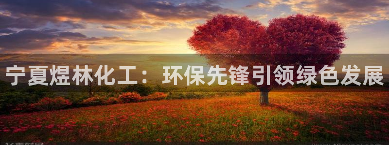 亿万先生合并最新消息：宁夏煜林化工：环保先锋引领绿色发展