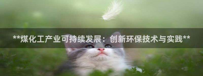 亿万国际游戏官网：**煤化工产业可持续发展：创新环保技术与实践**