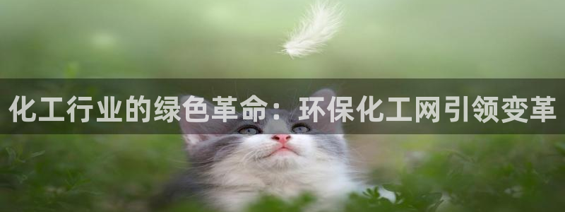 亿万先生客户端官网：化工行业的绿色革命：环保化工网引领变革
